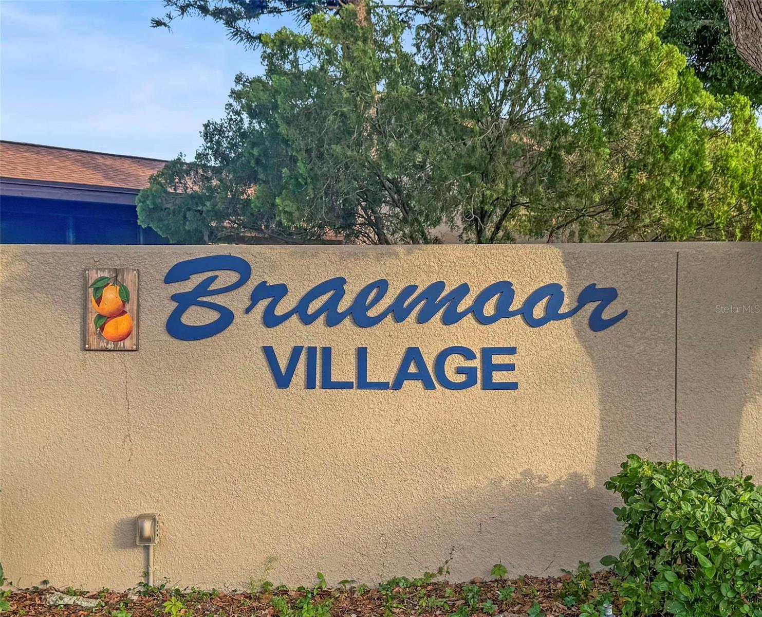 1668 HAMILTON CT #2061, DUNEDIN, FL, 34698