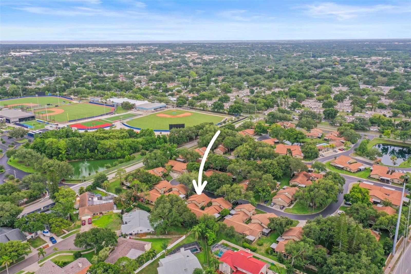 1668 HAMILTON CT #2061, DUNEDIN, FL, 34698