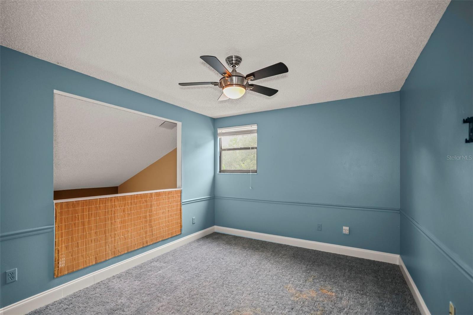 1668 HAMILTON CT #2061, DUNEDIN, FL, 34698
