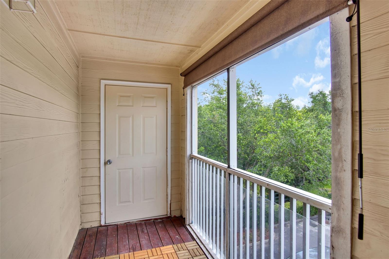 18245 BRIDLE CLUB DR #18245, TAMPA, FL, 33647