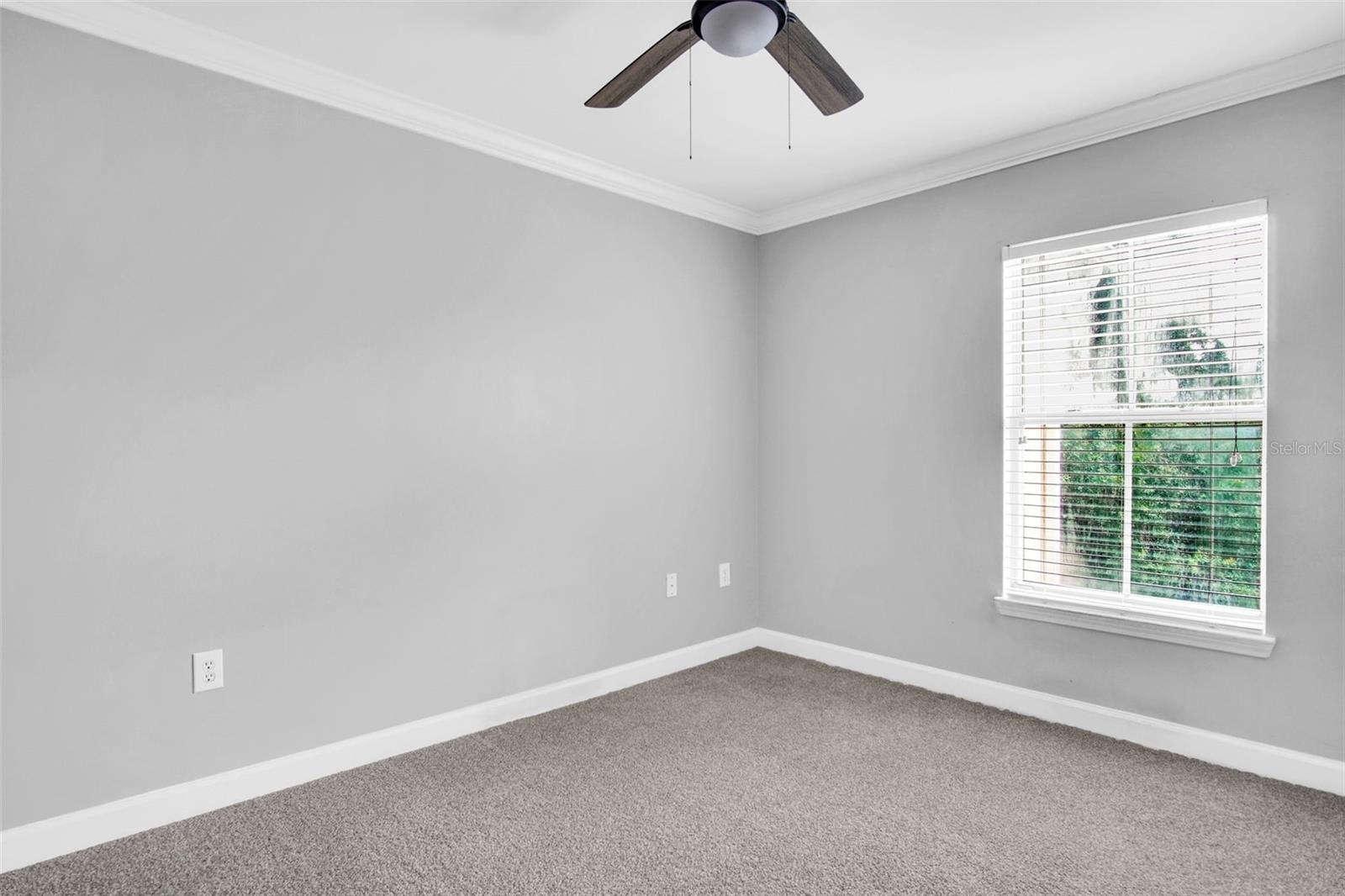 18245 BRIDLE CLUB DR #18245, TAMPA, FL, 33647