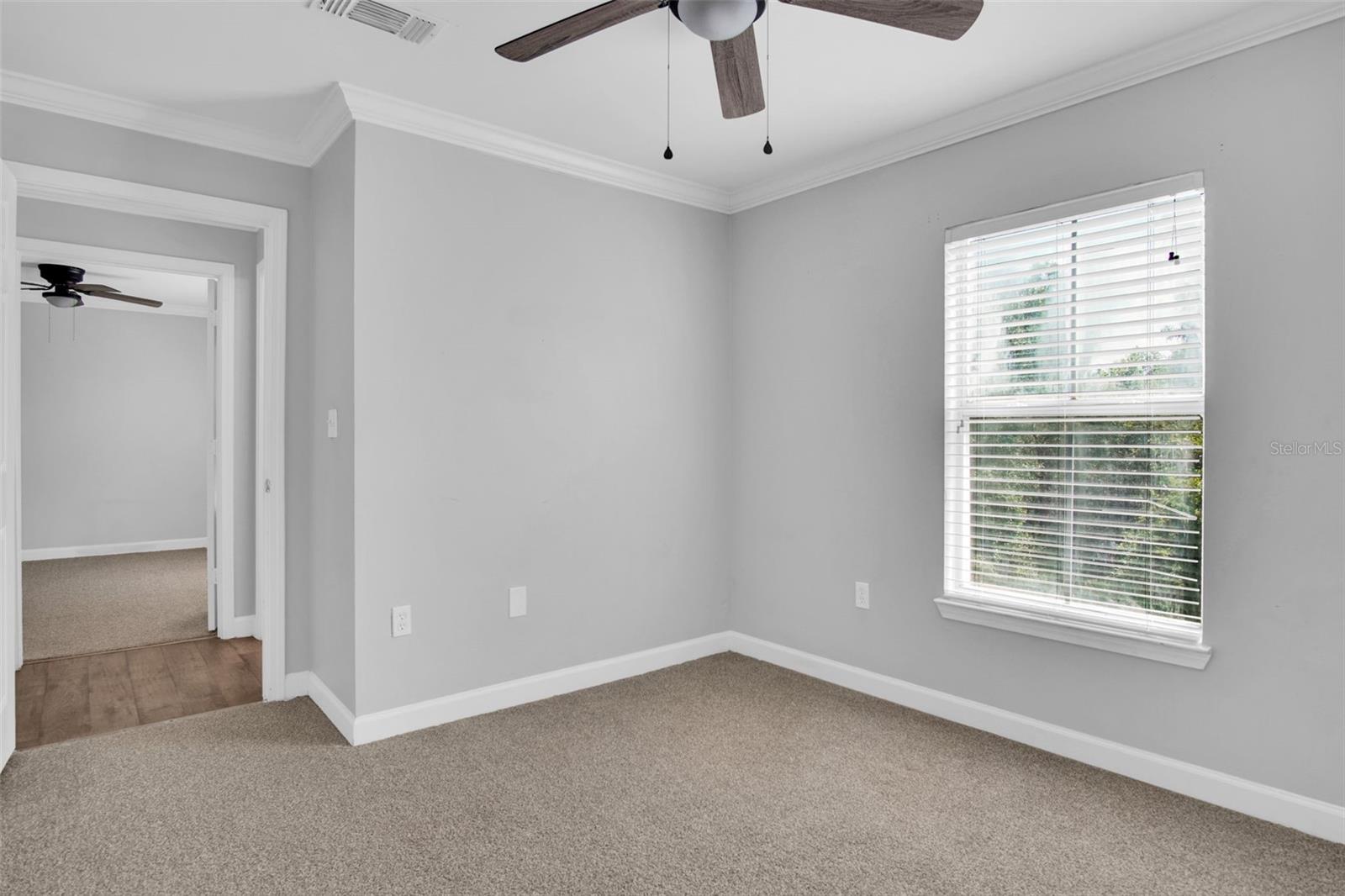 18245 BRIDLE CLUB DR #18245, TAMPA, FL, 33647