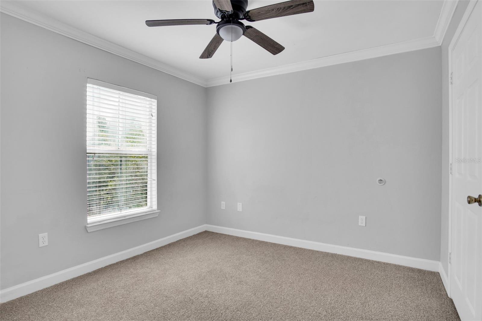 18245 BRIDLE CLUB DR #18245, TAMPA, FL, 33647