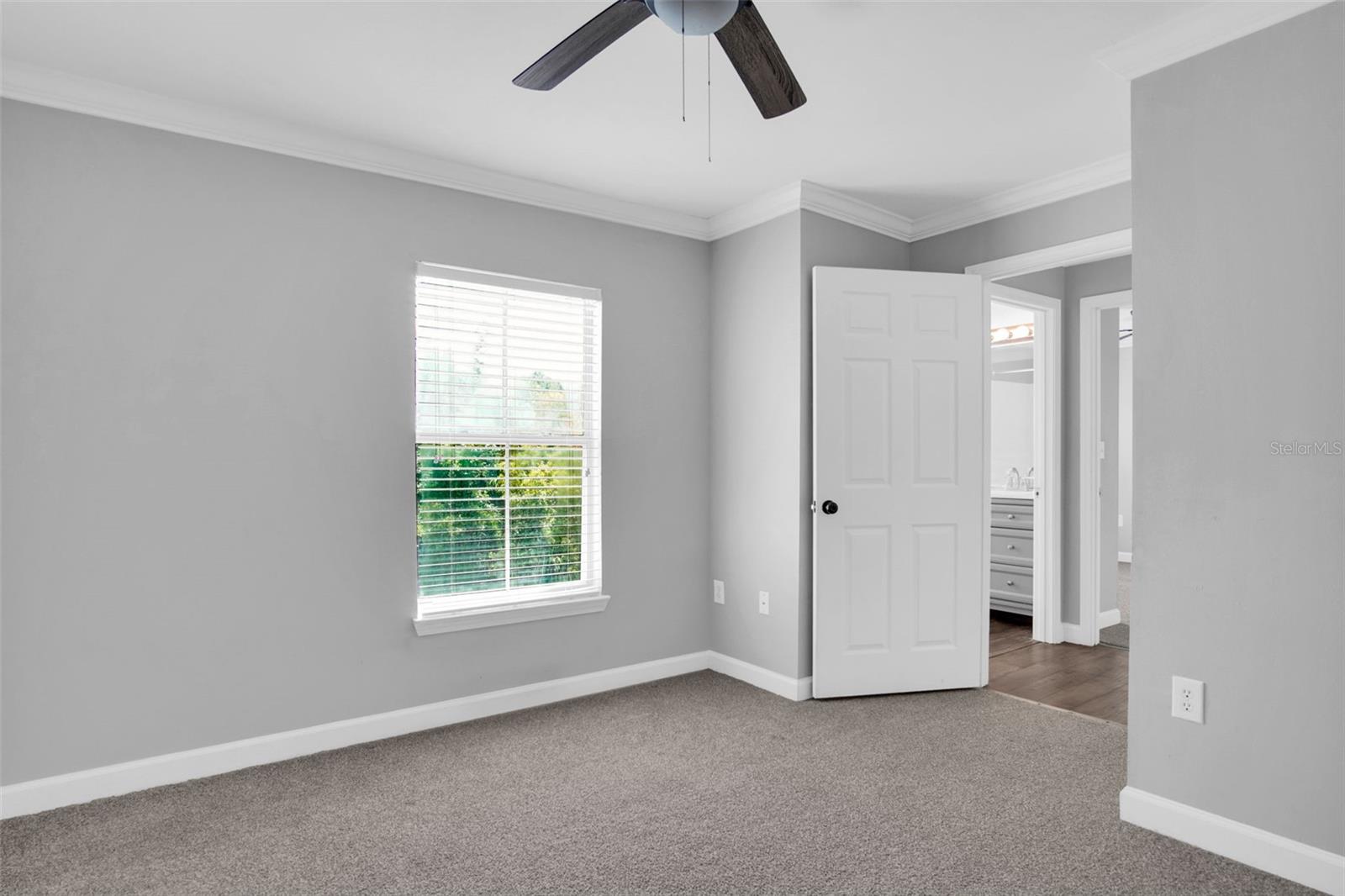 18245 BRIDLE CLUB DR #18245, TAMPA, FL, 33647