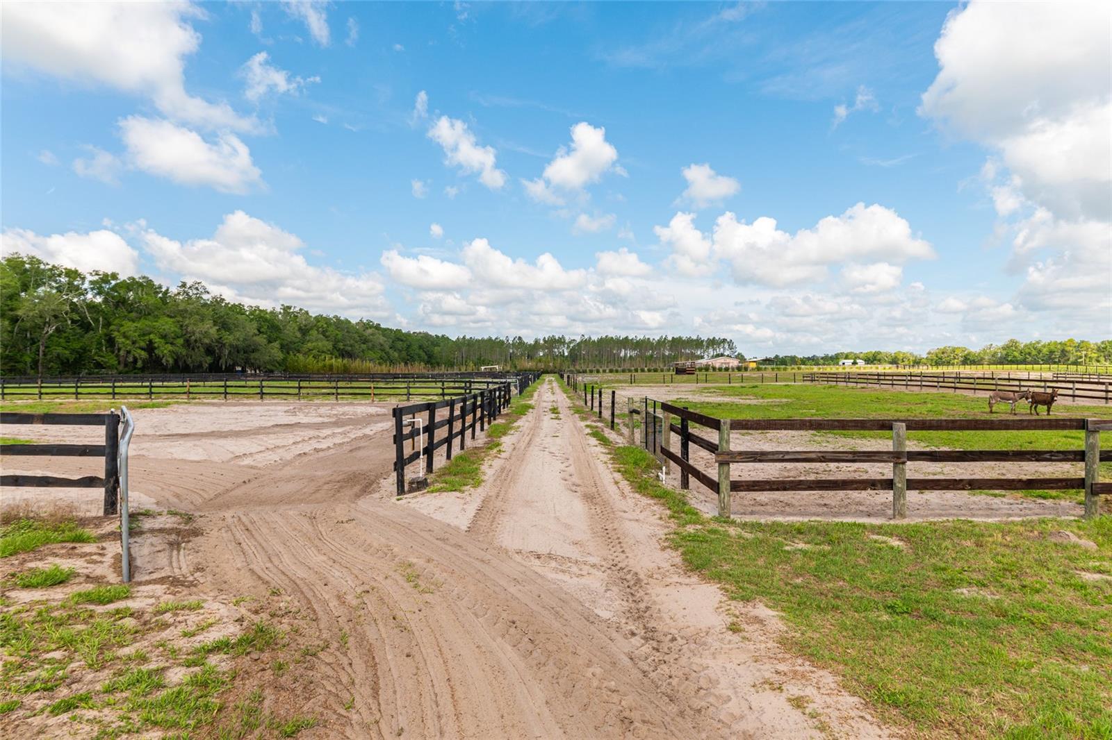 2009 SW 20TH ST, BELL, FL, 32619