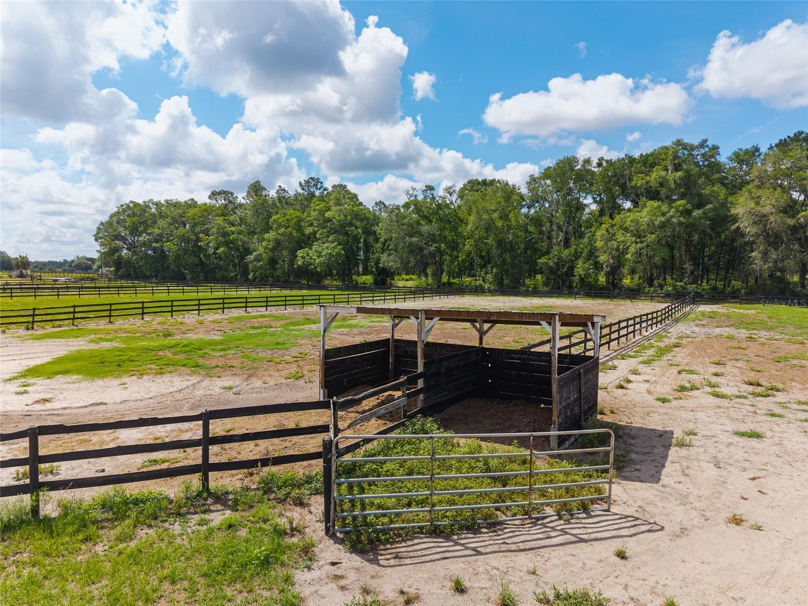 2009 SW 20TH ST, BELL, FL, 32619