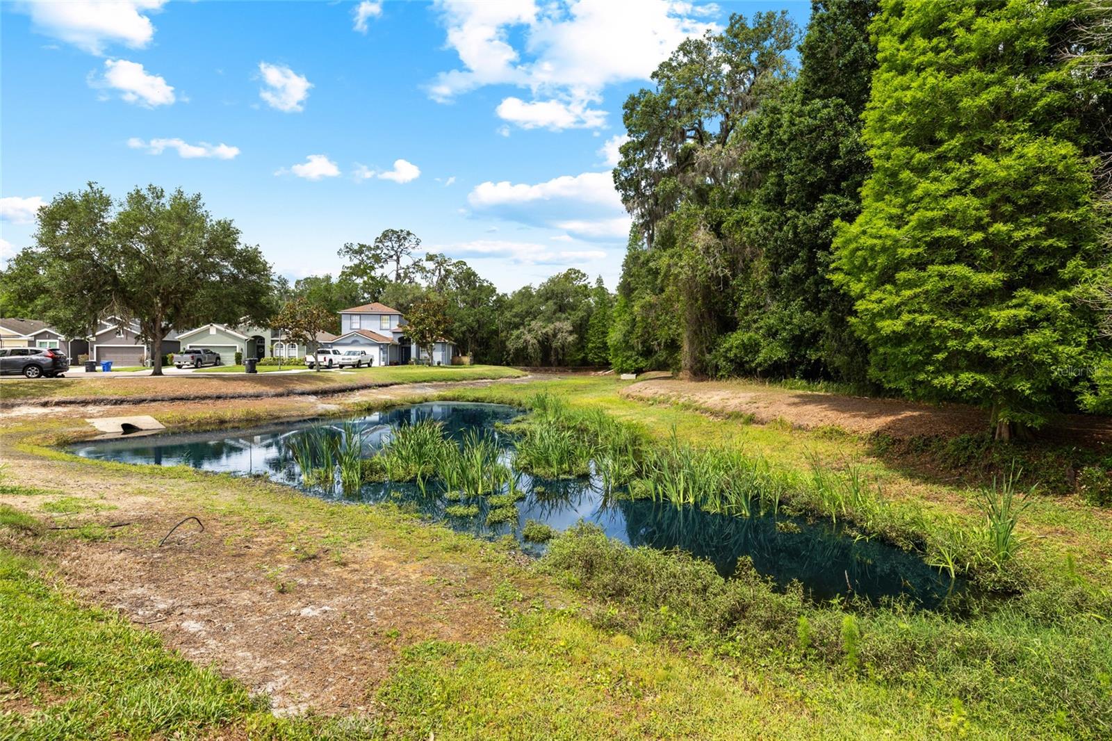 8515 TIDAL BREEZE DR, RIVERVIEW, FL, 33569