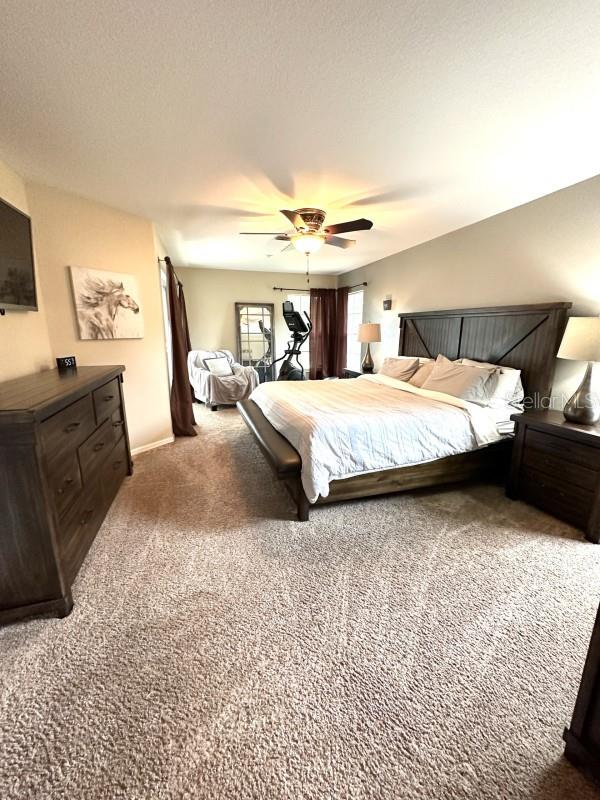 3260 SE 56TH AVE, OCALA, FL, 34480