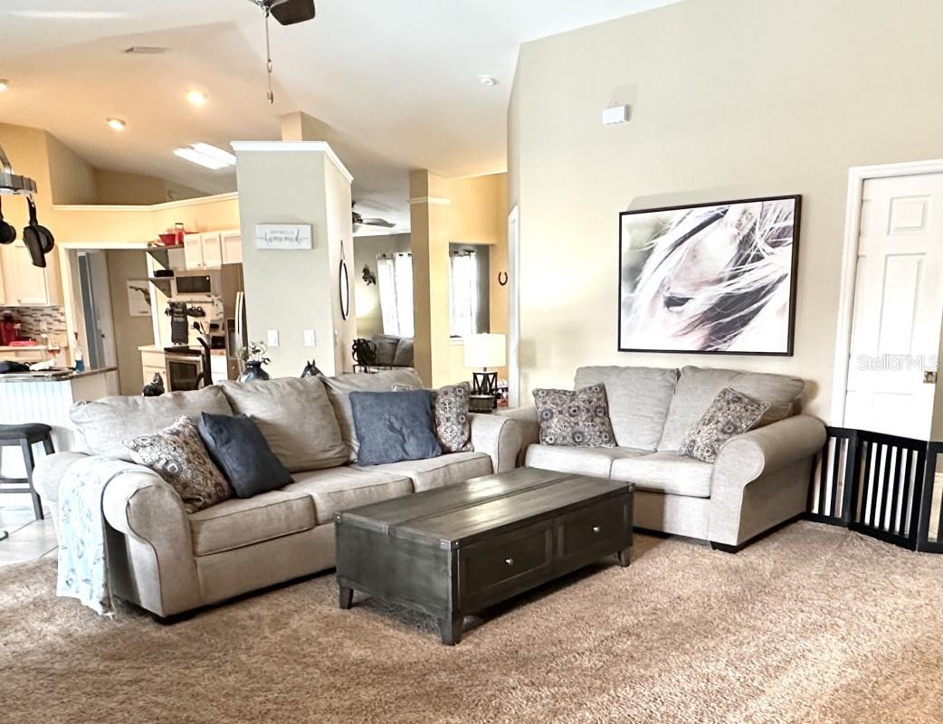 3260 SE 56TH AVE, OCALA, FL, 34480