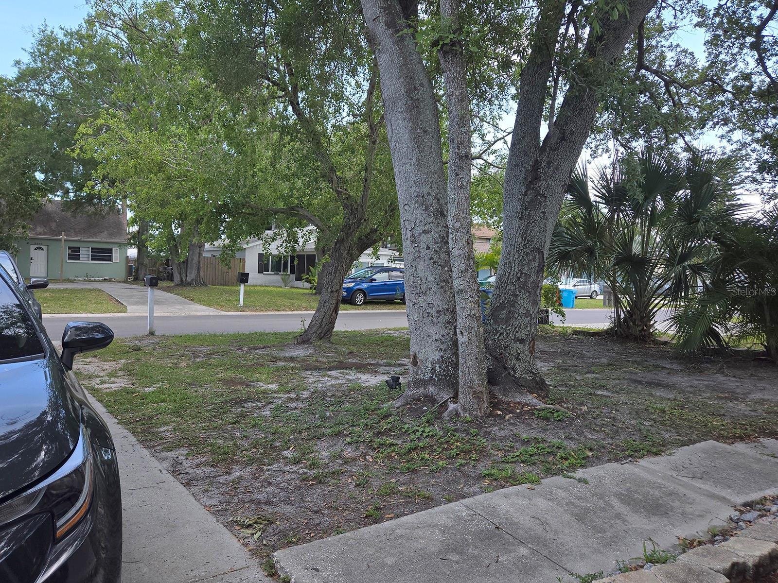 3667 135TH AVE, LARGO, FL, 33771