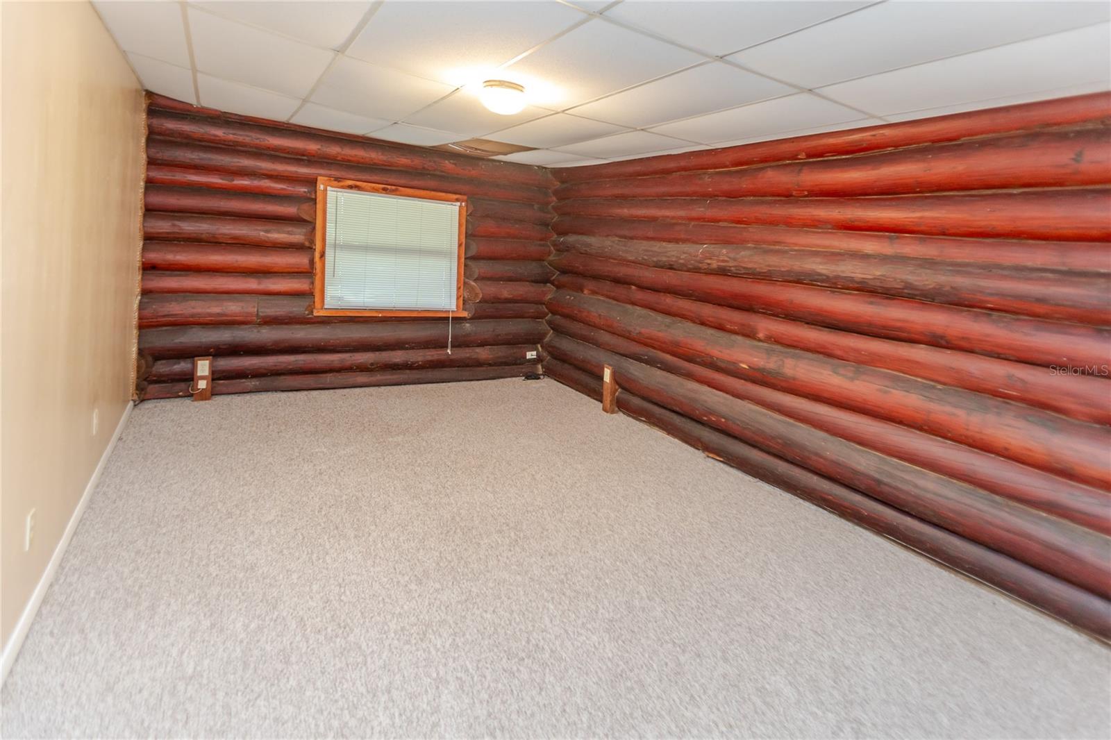 13203 BLISSFIELD, ODESSA, FL, 33556