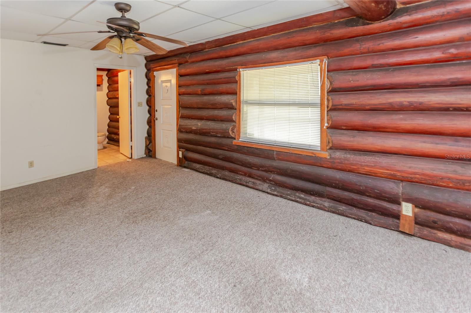 13203 BLISSFIELD, ODESSA, FL, 33556