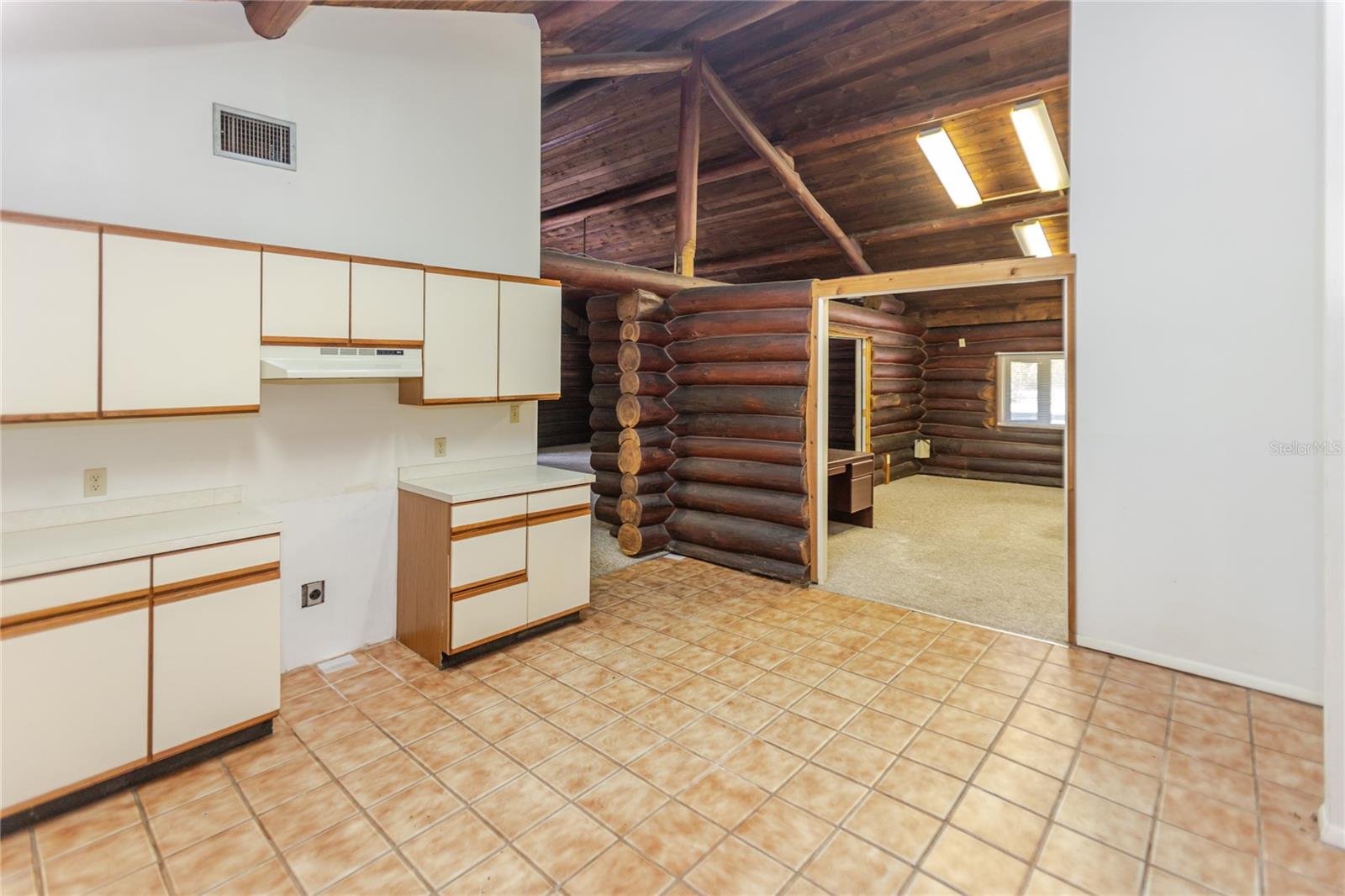 13203 BLISSFIELD, ODESSA, FL, 33556