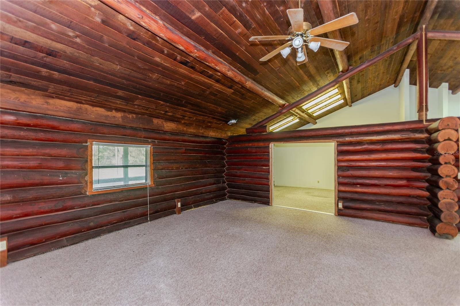 13203 BLISSFIELD, ODESSA, FL, 33556
