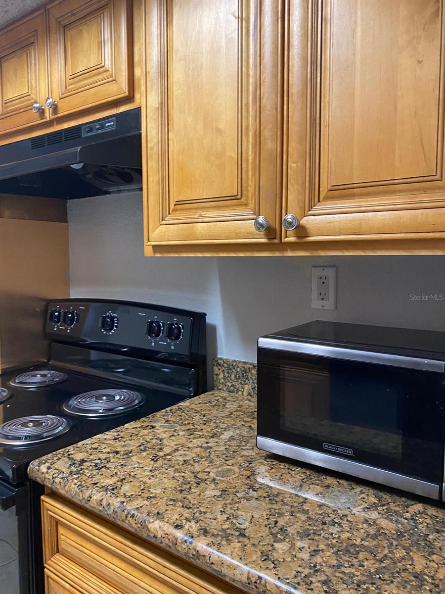 4749 S TEXAS AVE #4749C, ORLANDO, FL, 32839