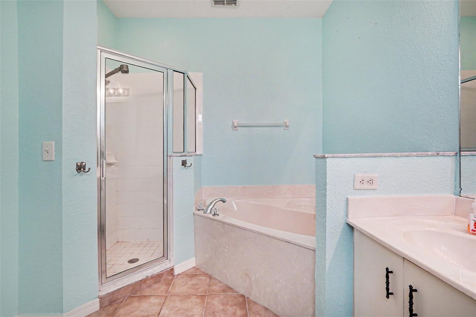12202 INDIAN CREEK DR, KISSIMMEE, FL, 34759
