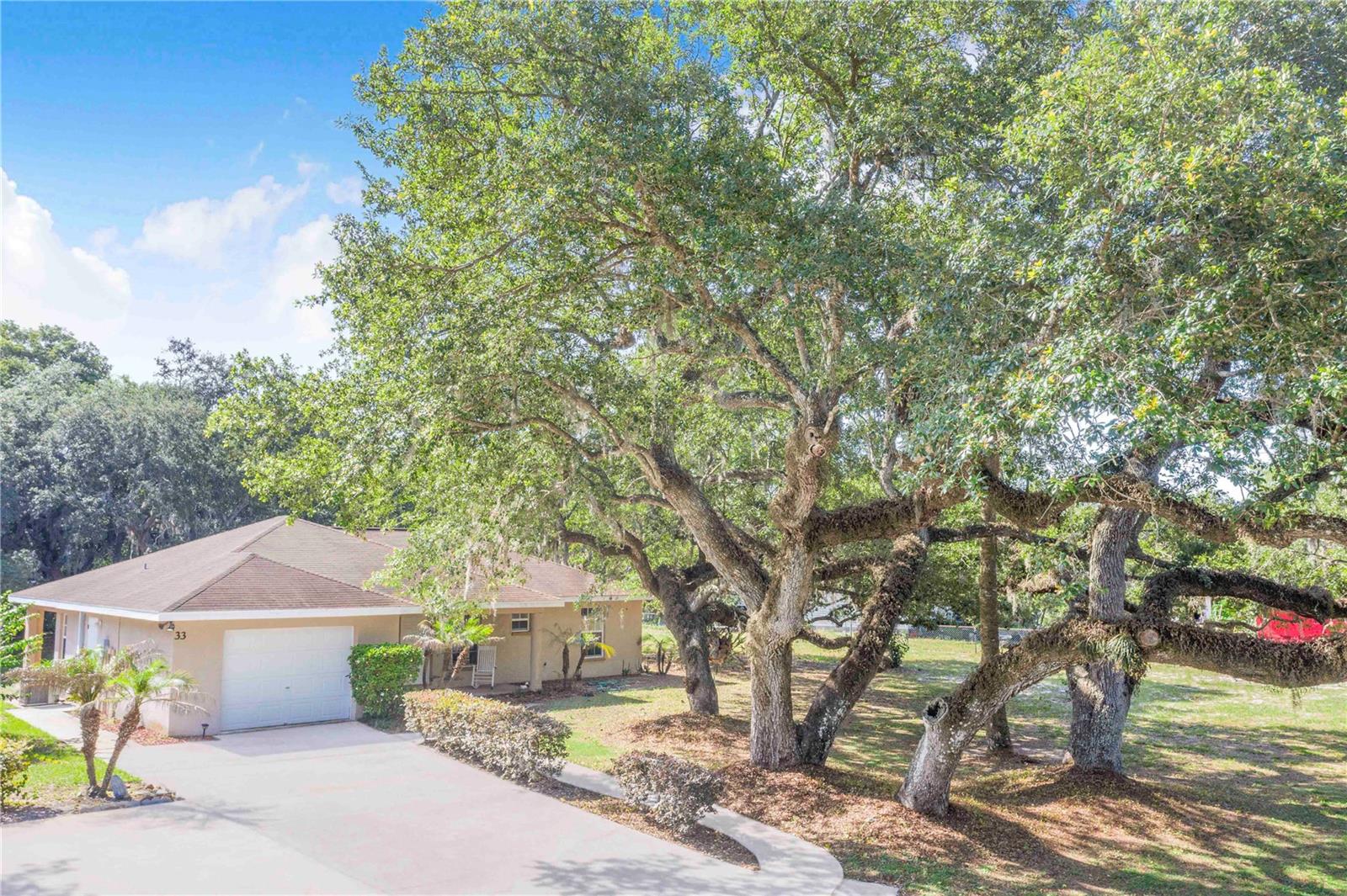 33 PINEWOOD DR, HAINES CITY, FL, 33844