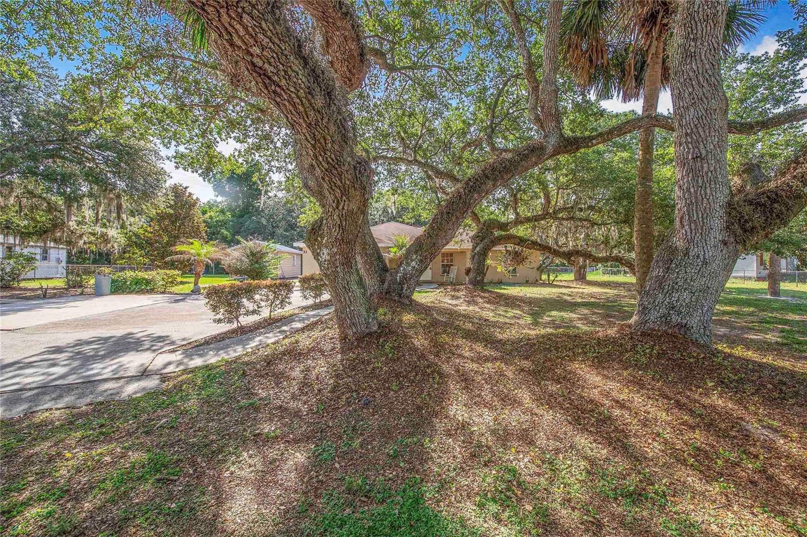 33 PINEWOOD DR, HAINES CITY, FL, 33844