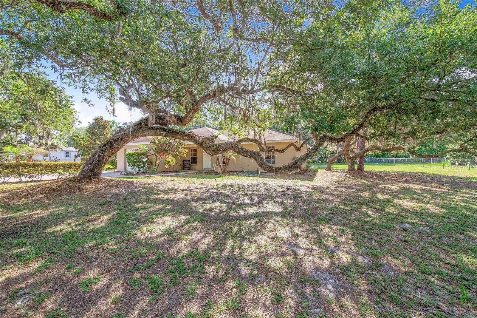 33 PINEWOOD DR, HAINES CITY, FL, 33844
