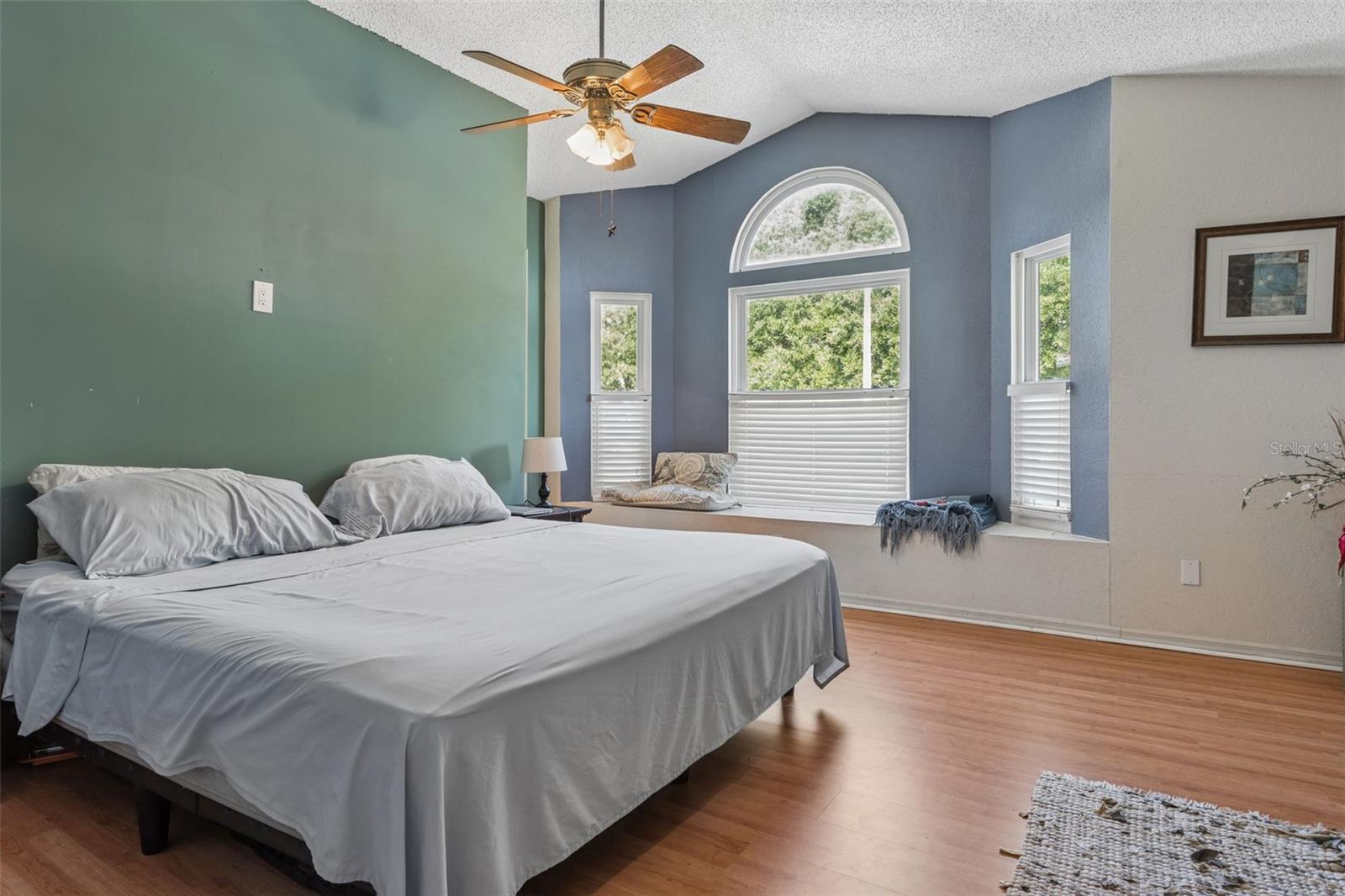 3237 MONTROSE CIR, PALM HARBOR, FL, 34684