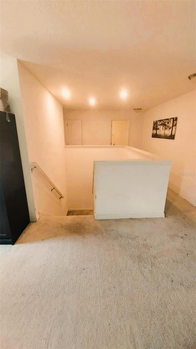11542 BRIGHTON KNOLL LOOP, RIVERVIEW, FL, 33579