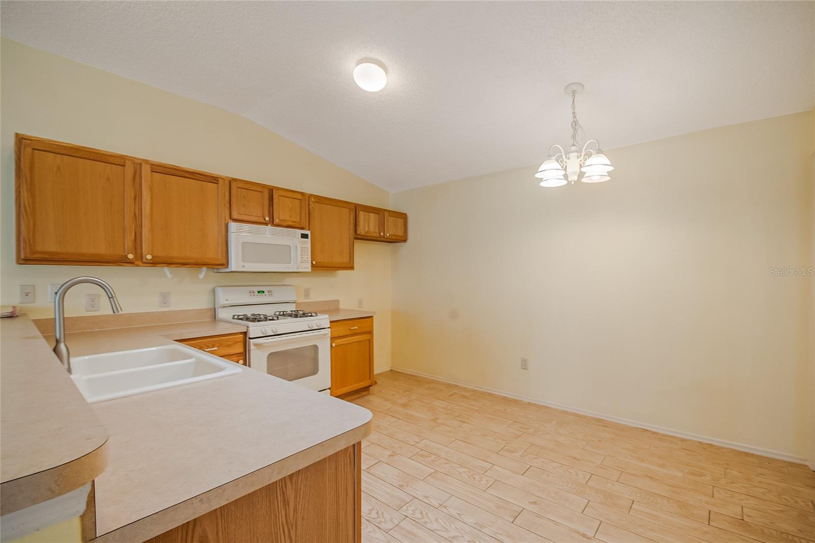2454 SOUTHERN OAK ST, THE VILLAGES, FL, 32162