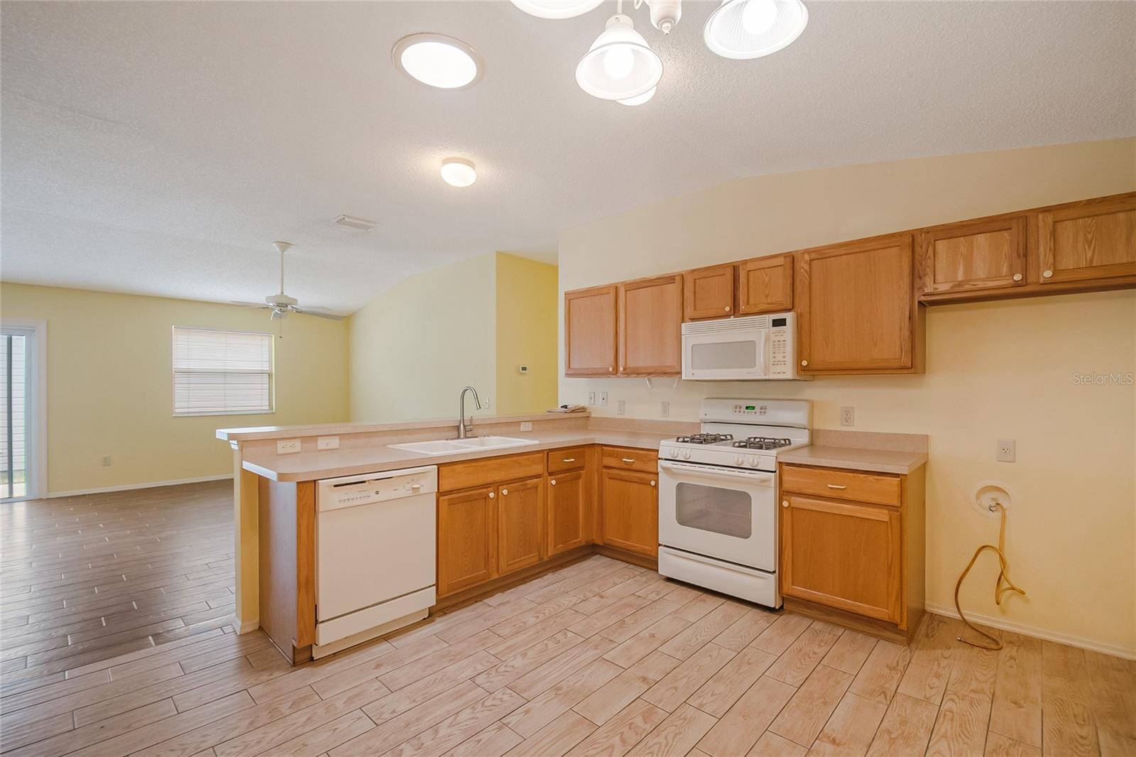 2454 SOUTHERN OAK ST, THE VILLAGES, FL, 32162
