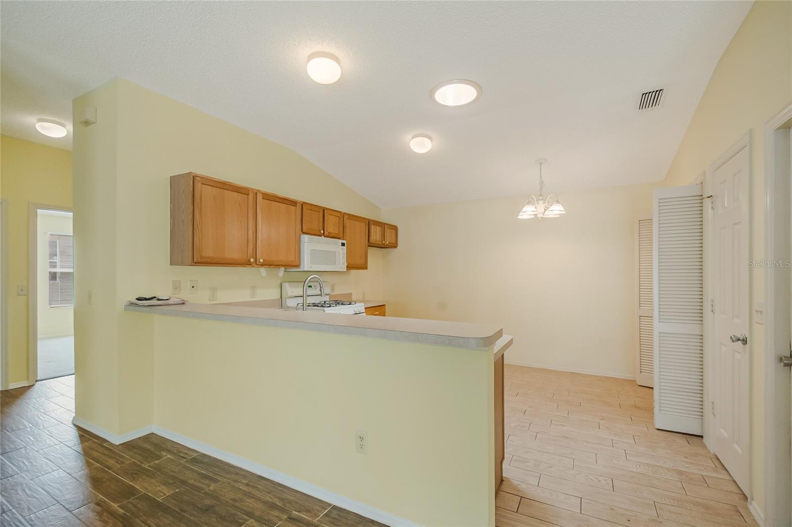 2454 SOUTHERN OAK ST, THE VILLAGES, FL, 32162