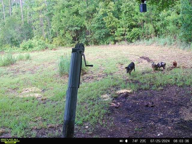 0 SE 464C HWY, OCKLAWAHA, FL, 32179