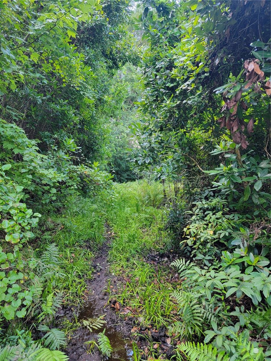0 SE 464C HWY, OCKLAWAHA, FL, 32179