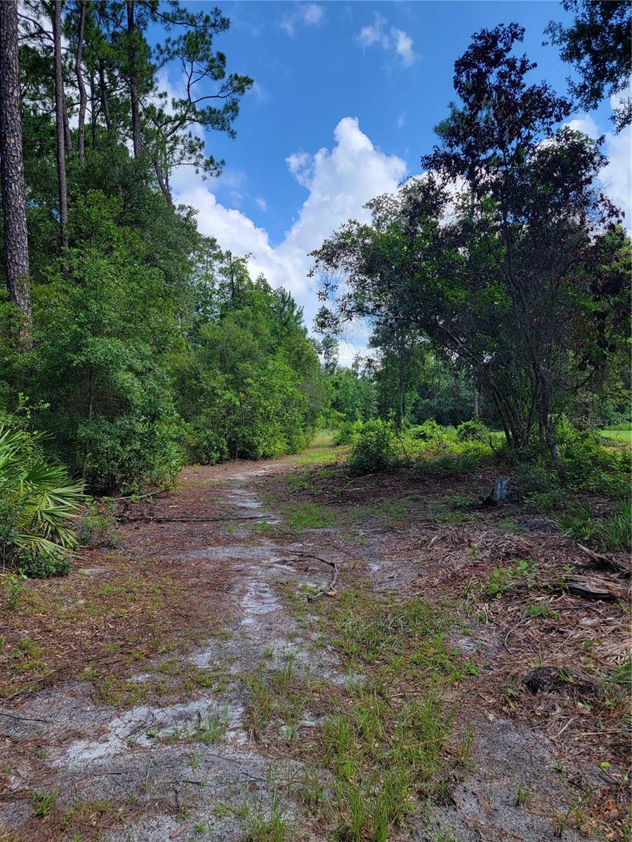 0 SE 464C HWY, OCKLAWAHA, FL, 32179