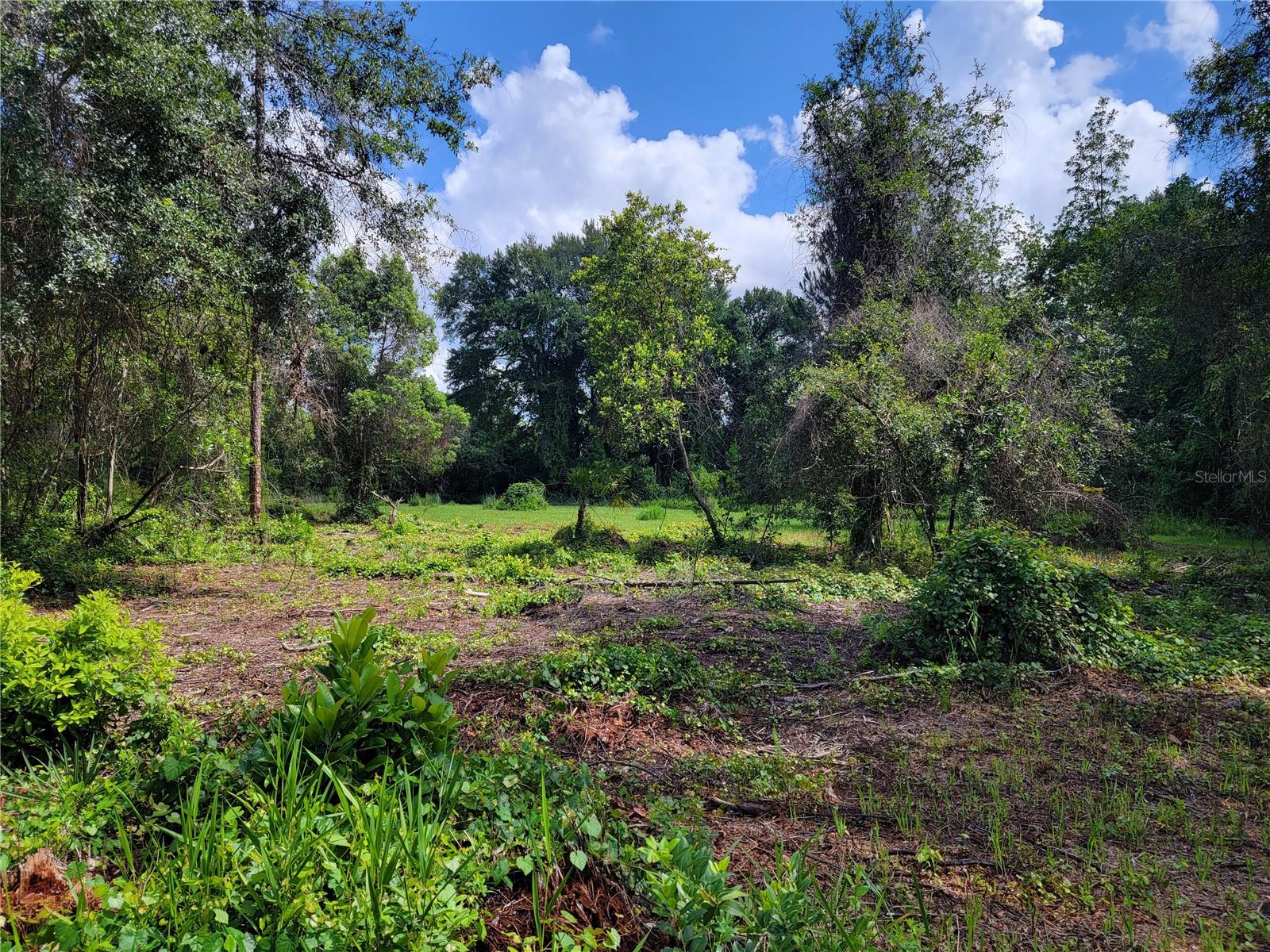 0 SE 464C HWY, OCKLAWAHA, FL, 32179