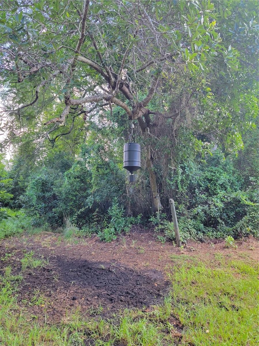 0 SE 464C HWY, OCKLAWAHA, FL, 32179