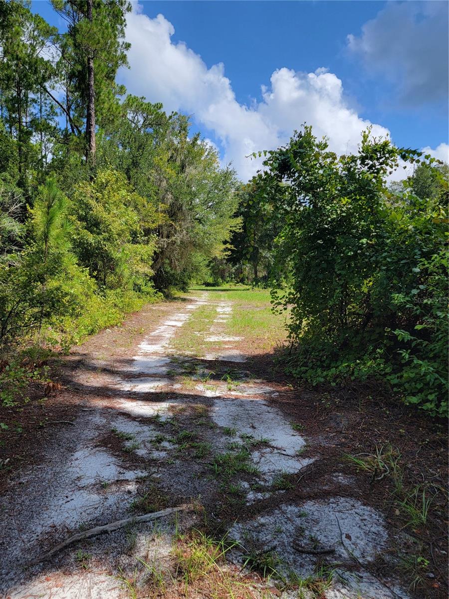 0 SE 464C HWY, OCKLAWAHA, FL, 32179