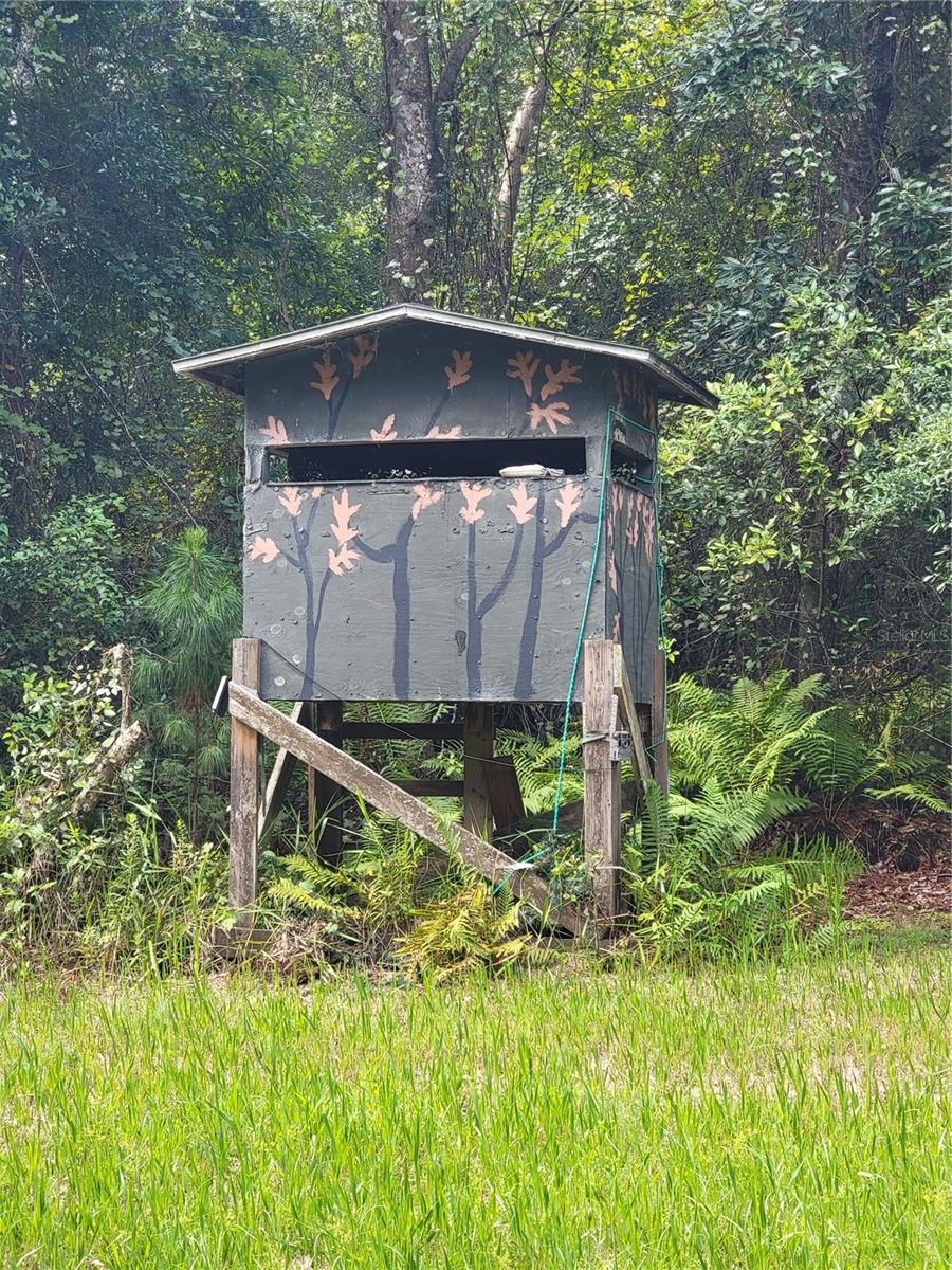 0 SE 464C HWY, OCKLAWAHA, FL, 32179