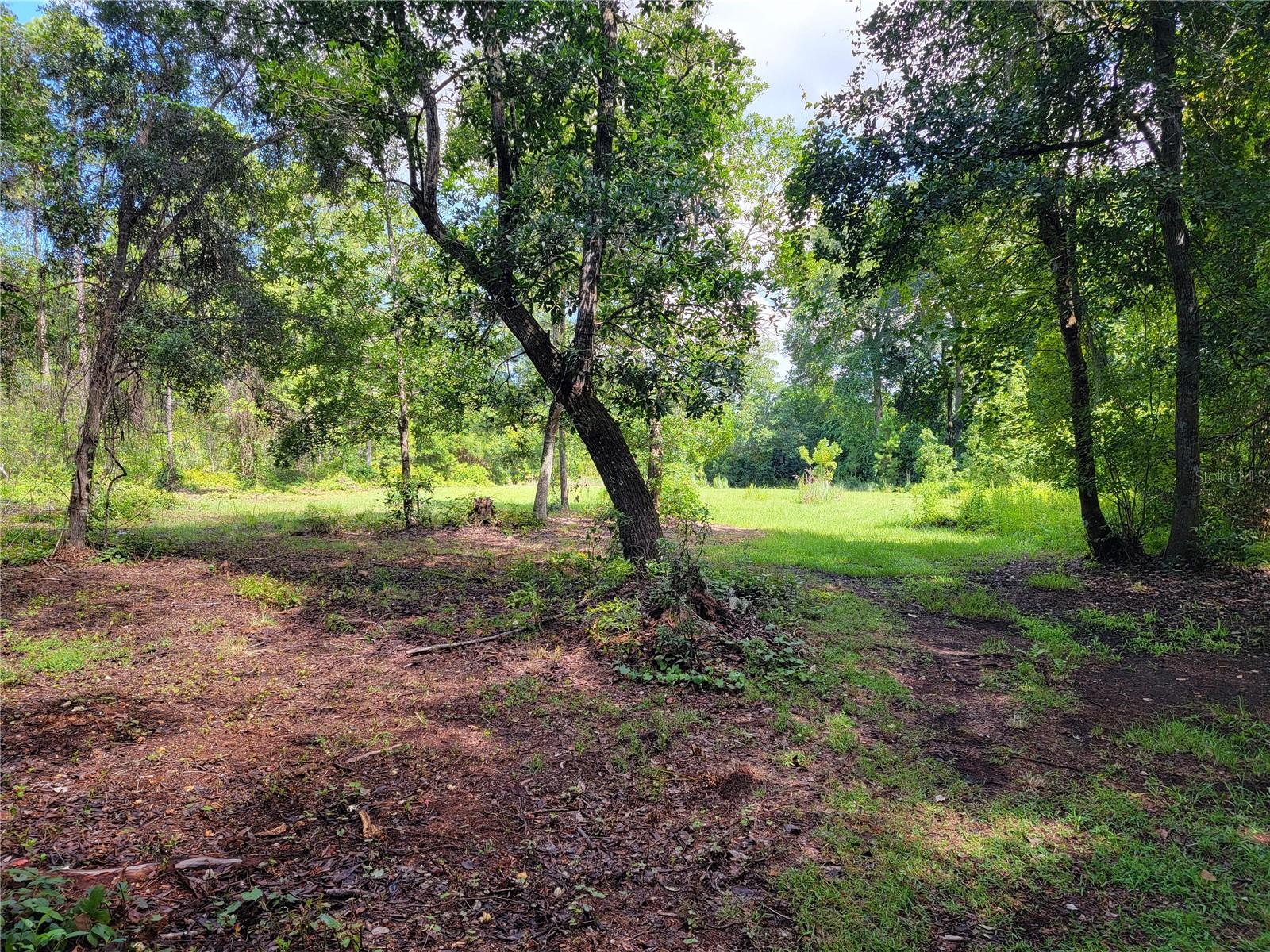 0 SE 464C HWY, OCKLAWAHA, FL, 32179