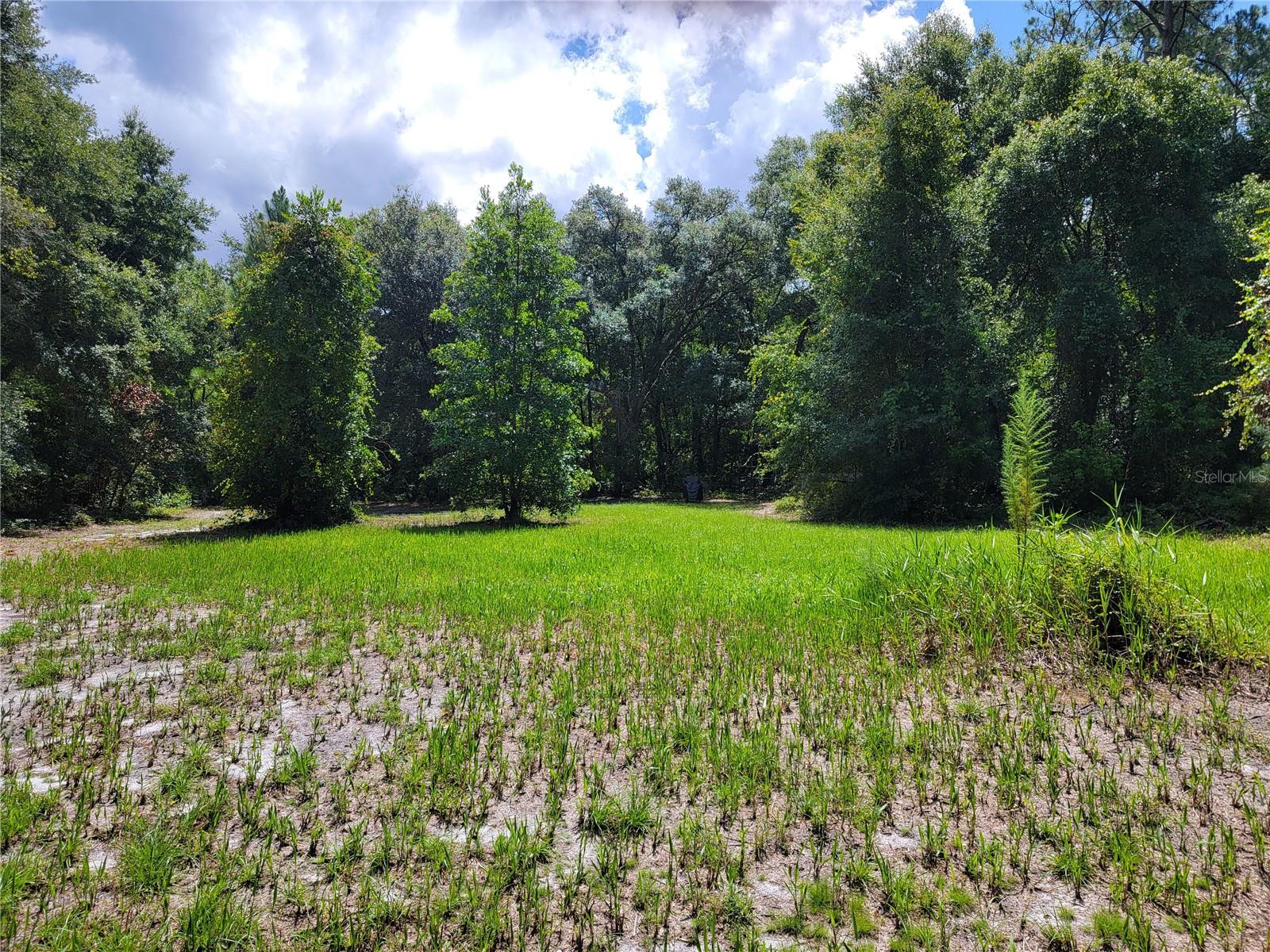 0 SE 464C HWY, OCKLAWAHA, FL, 32179