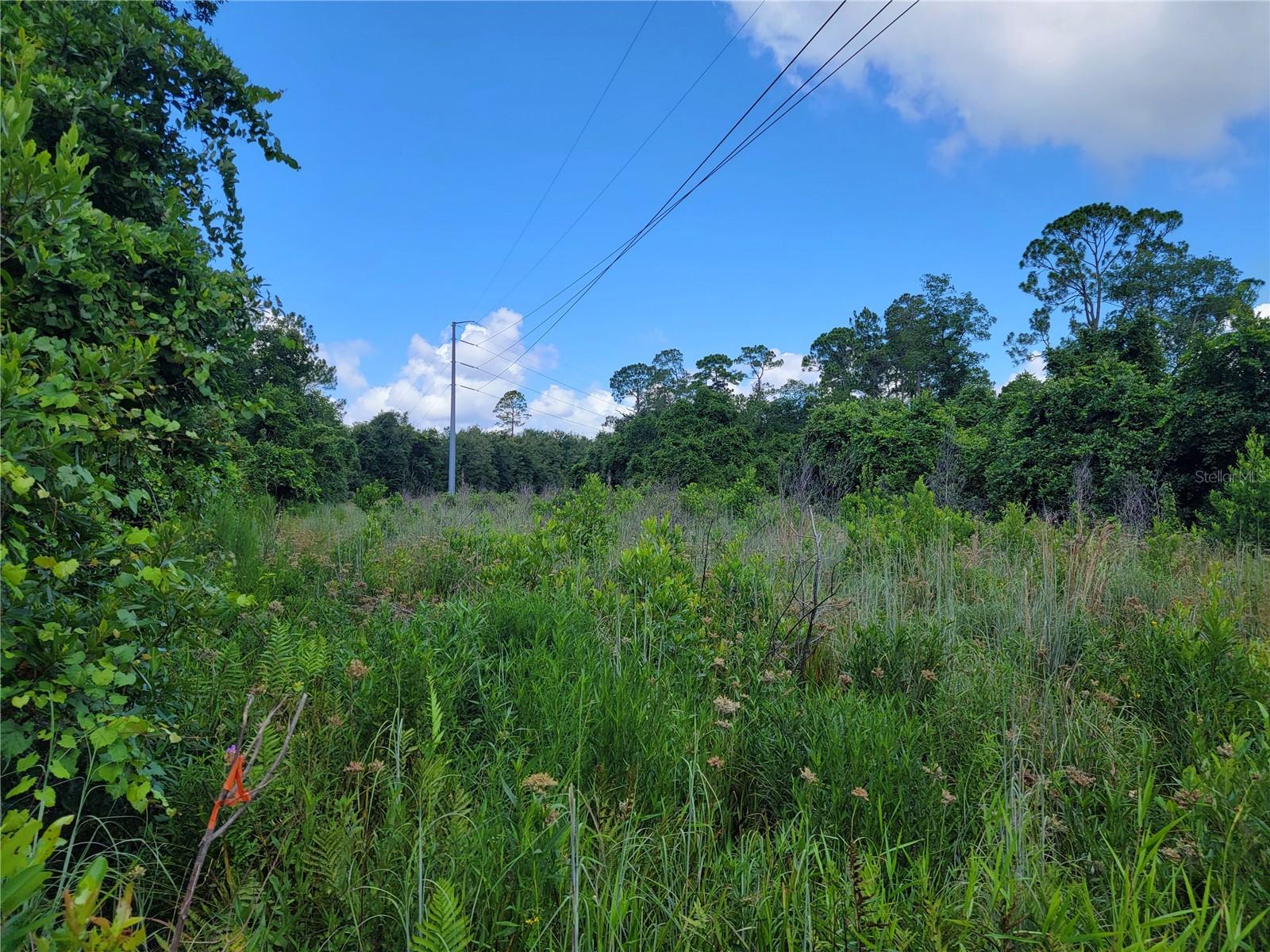 0 SE 464C HWY, OCKLAWAHA, FL, 32179