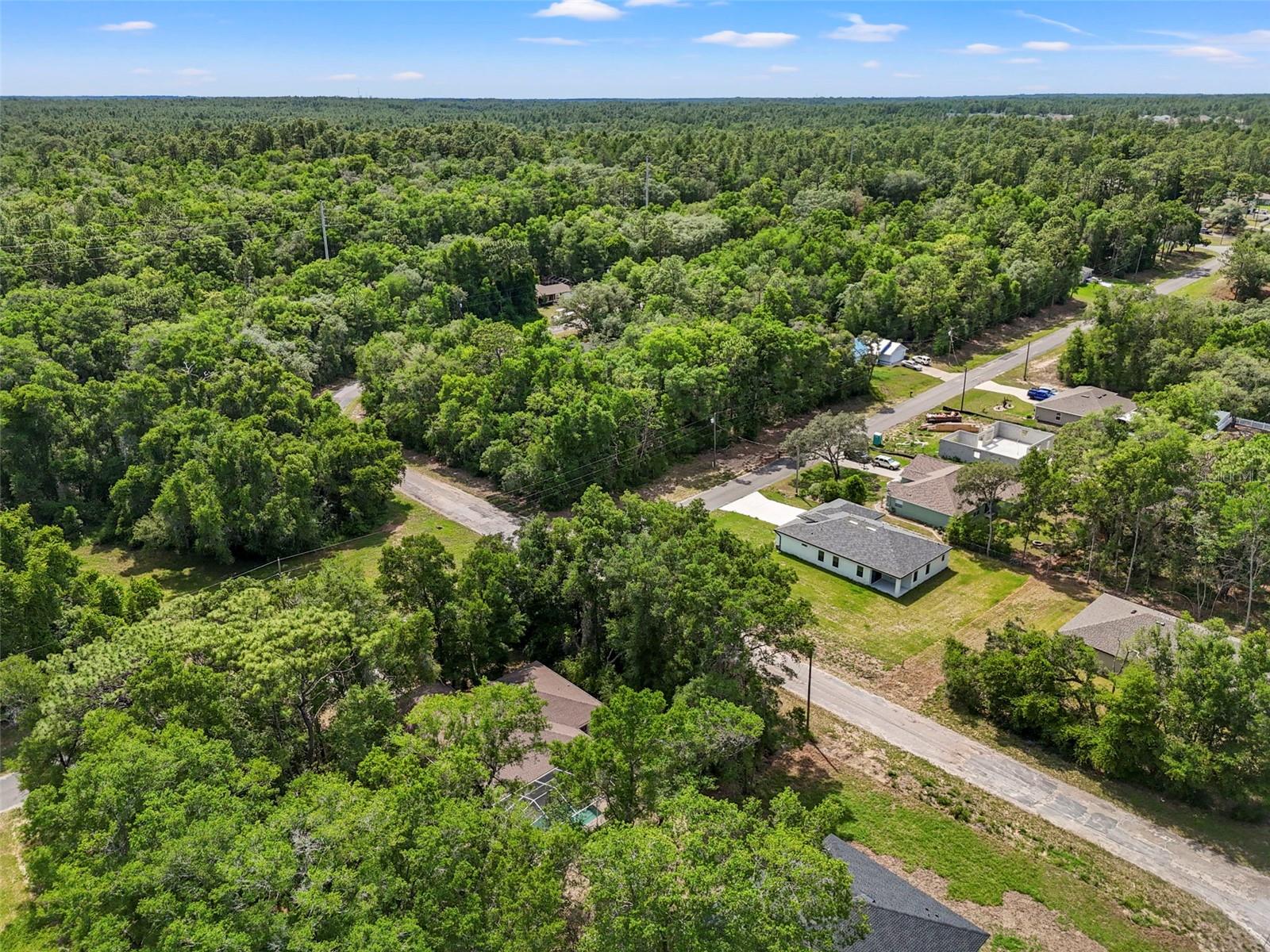7805 N CREEK WAY, CITRUS SPRINGS, FL, 34434