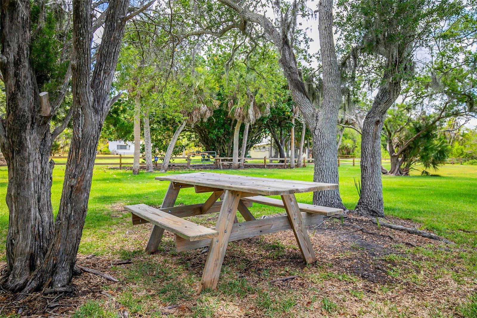 8824 PHYLISS AVE, SARASOTA, FL, 34231