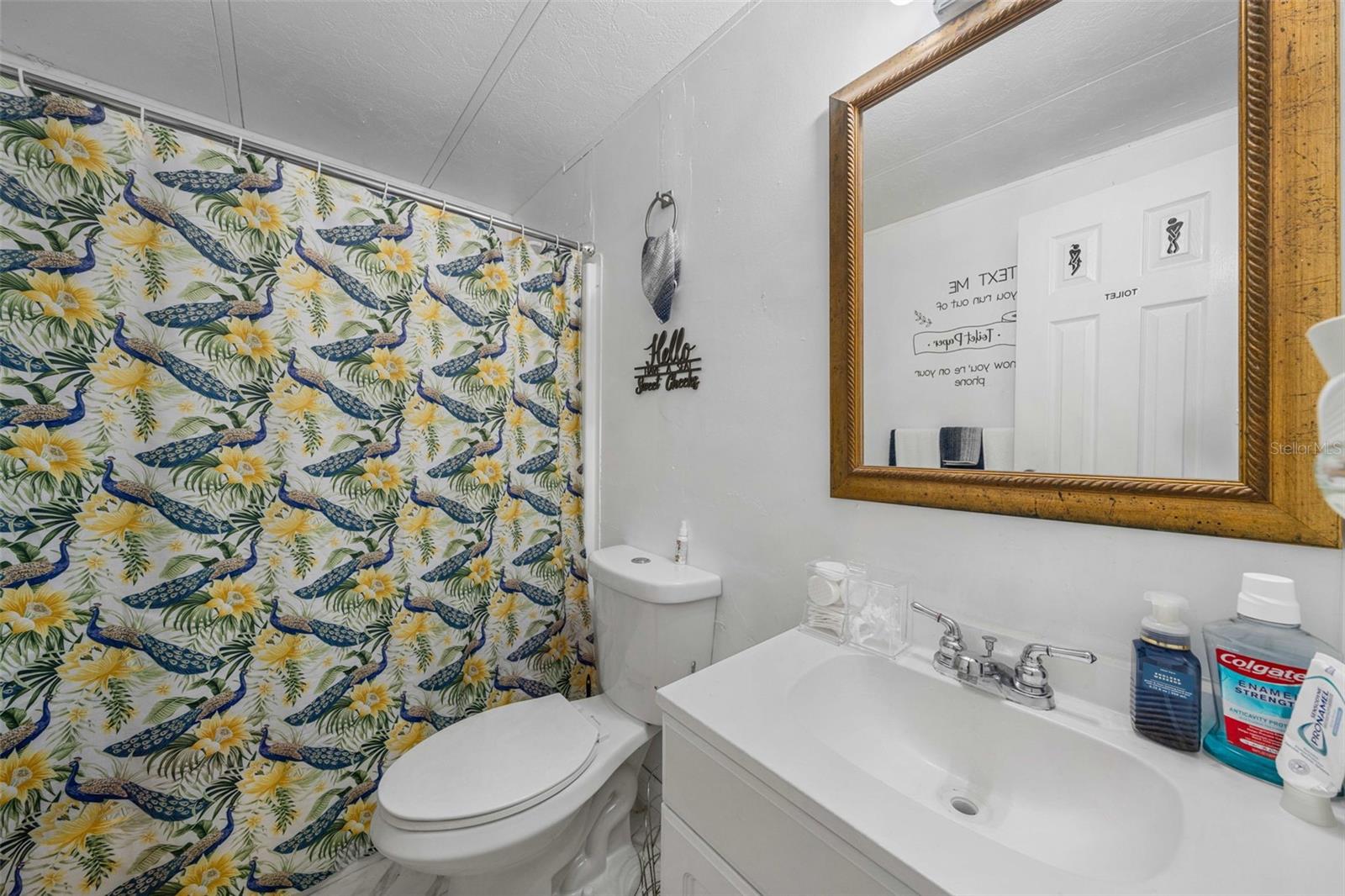 3442 DEW BERRY AVE, APOPKA, FL, 32712