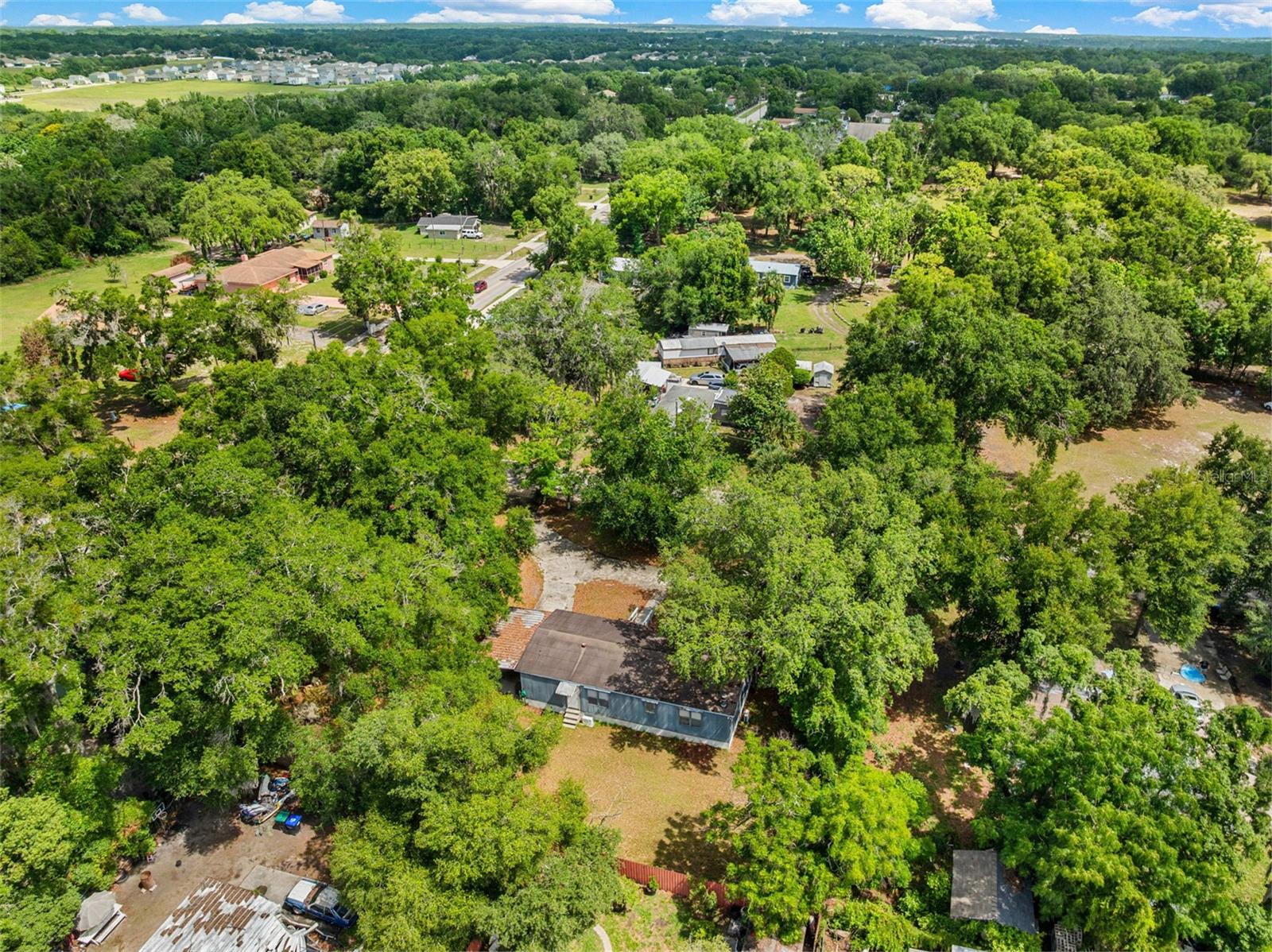 3442 DEW BERRY AVE, APOPKA, FL, 32712