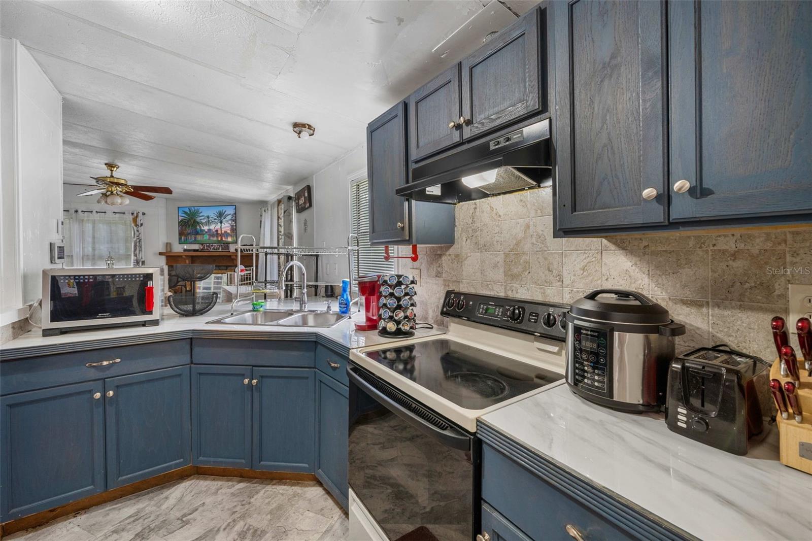 3442 DEW BERRY AVE, APOPKA, FL, 32712