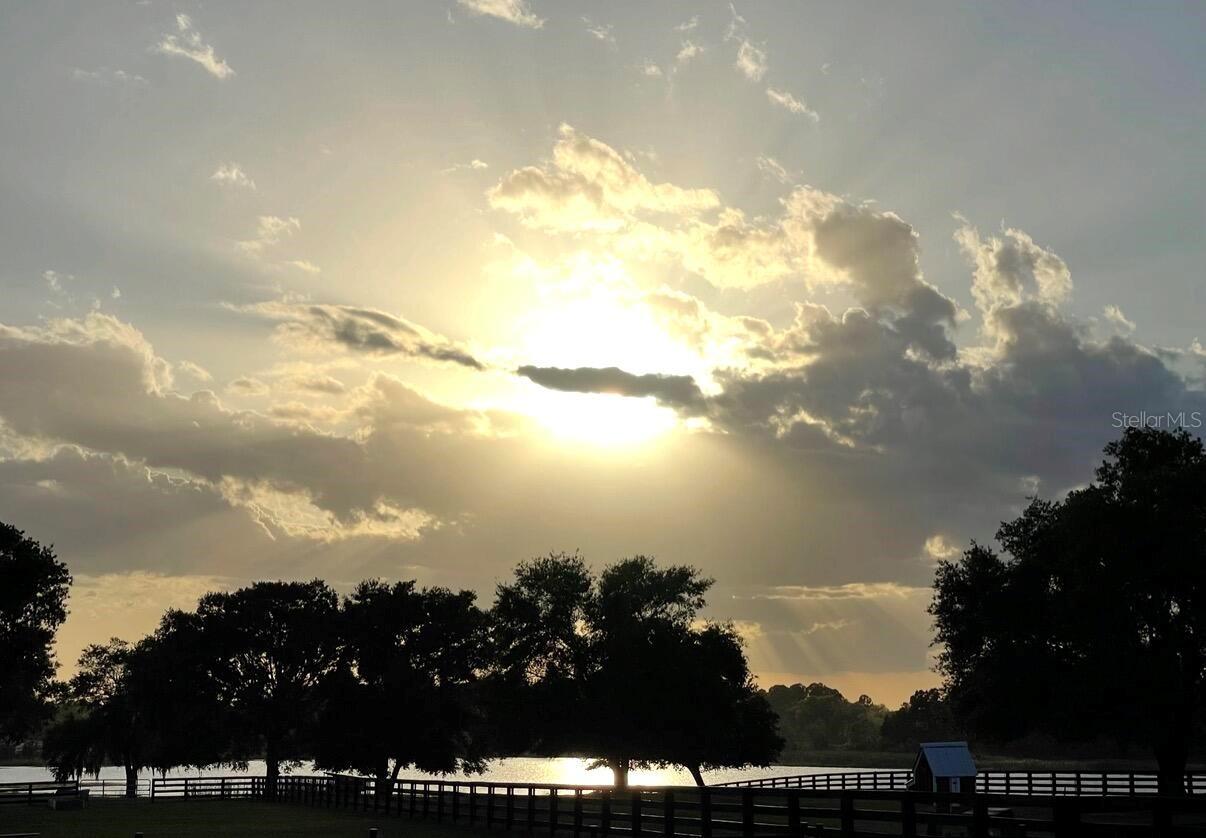 40143 BABB RD, UMATILLA, FL, 32784