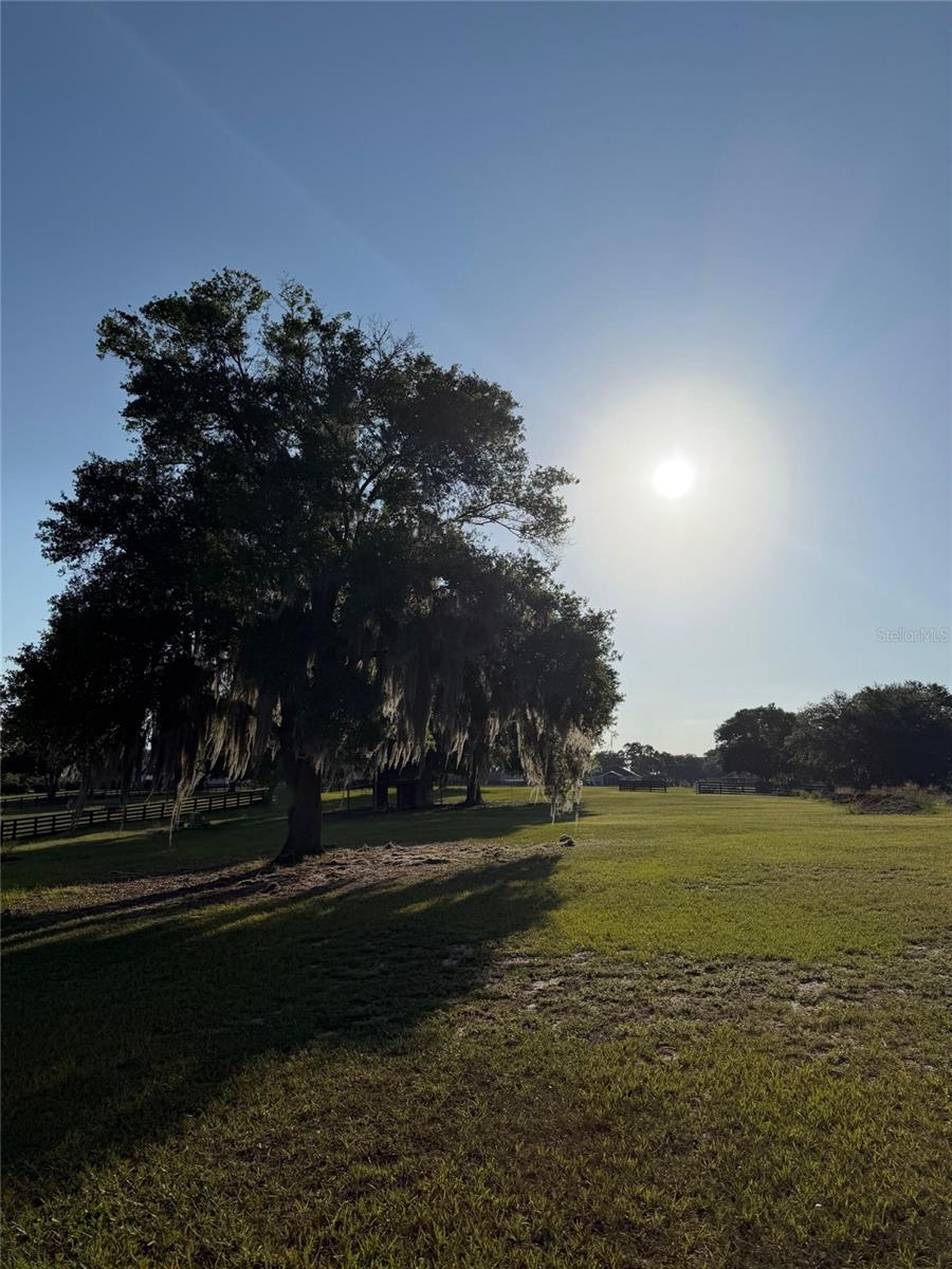 40143 BABB RD, UMATILLA, FL, 32784