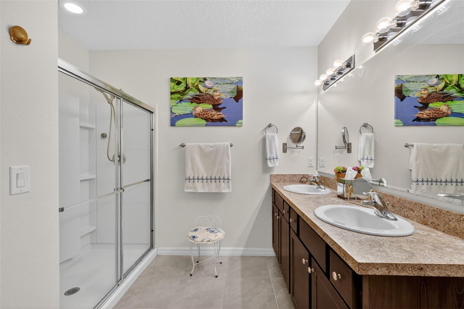 10521 BRONZE LEAF CT, LEESBURG, FL, 34788