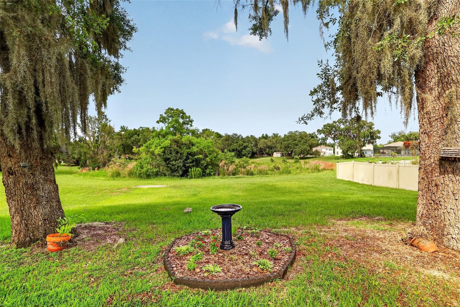 10521 BRONZE LEAF CT, LEESBURG, FL, 34788