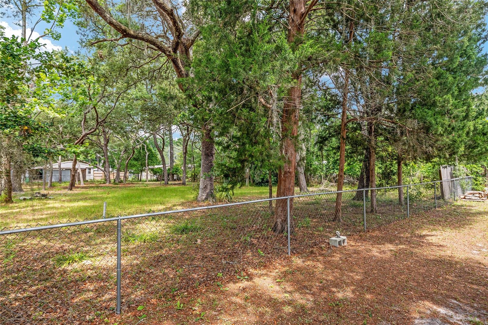 11211 NW 113TH PL, CHIEFLAND, FL, 32626