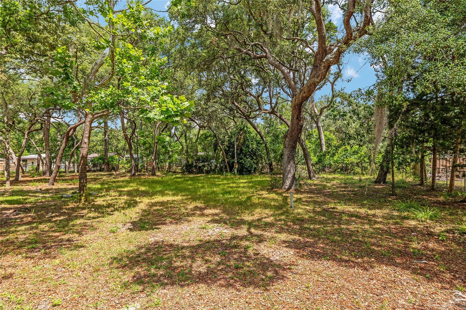 11211 NW 113TH PL, CHIEFLAND, FL, 32626