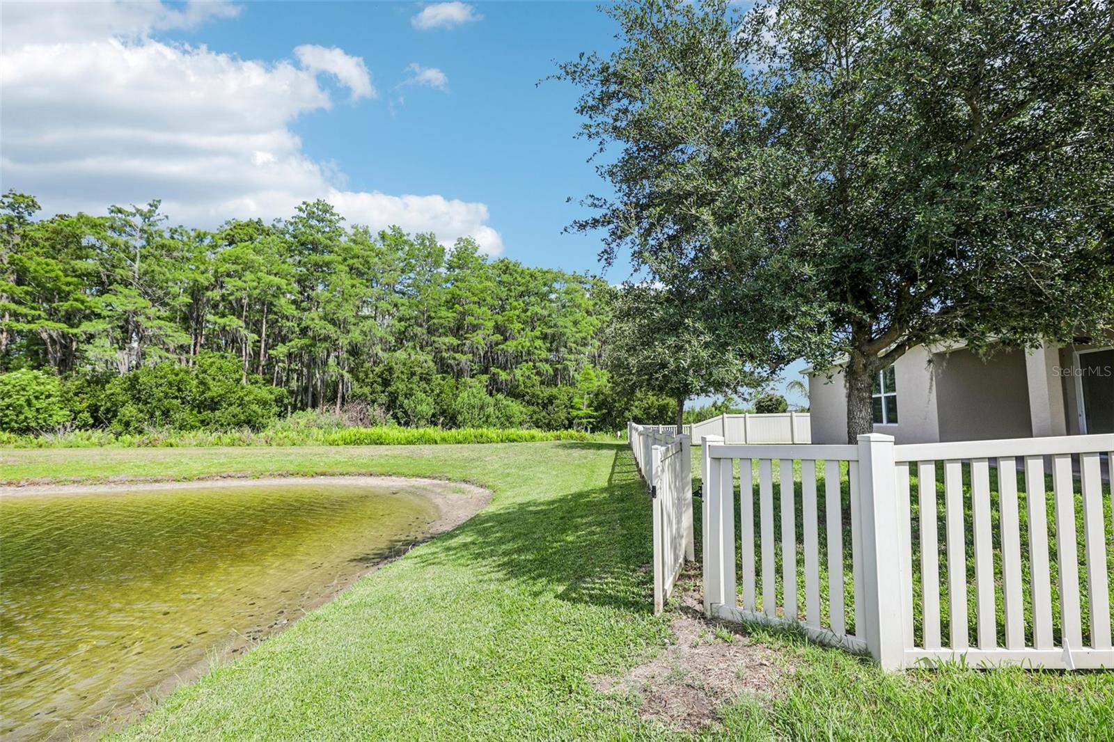 12126 HOMESTEAD PARK LN, ORLANDO, FL, 32824